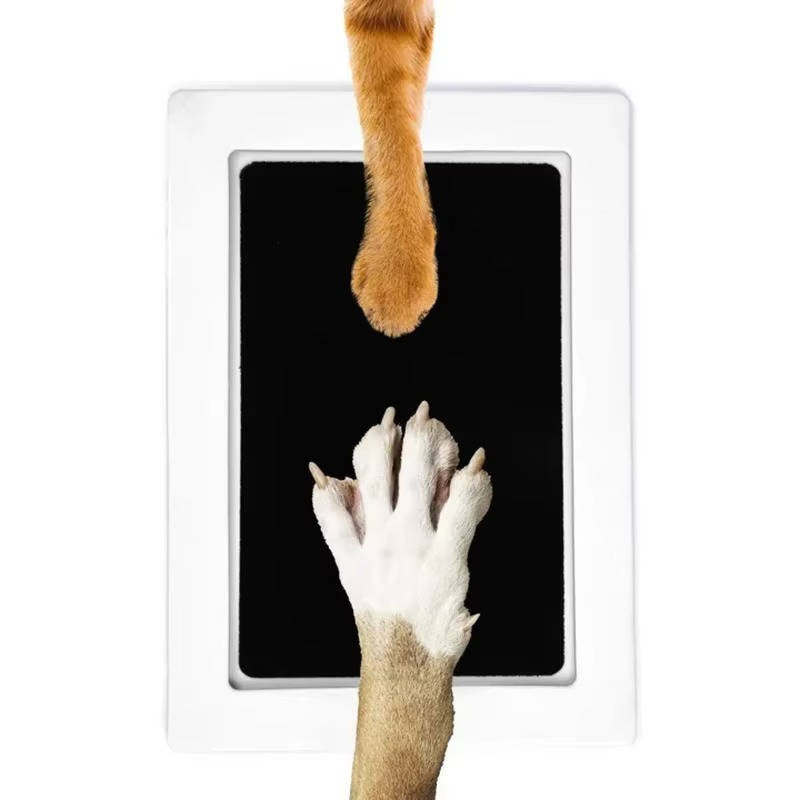Dog Paw Print Kit