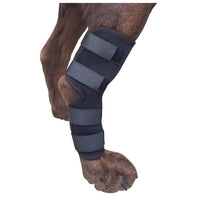 Orthopedic Braces For Dogs