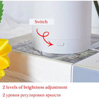 Sunflower Lamp