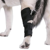 Orthopedic Braces For Dogs