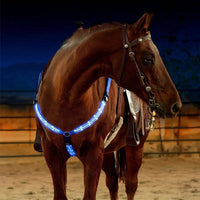 LED Breast Collar Horse