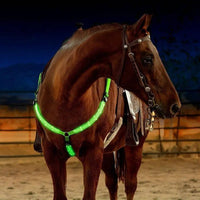LED Breast Collar Horse