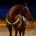 LED Breast Collar Horse