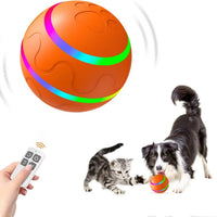 Interactive Dog Ball Toy