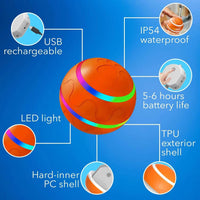 Interactive Dog Ball Toy