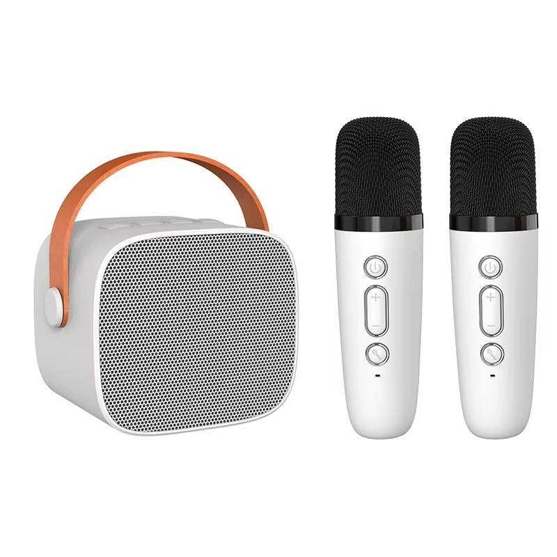 Mini Karaoke Machine with 2 Wireless Microphones