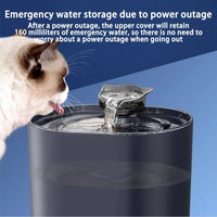 Cat Water Fountain