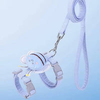 Cat Collar And Harness