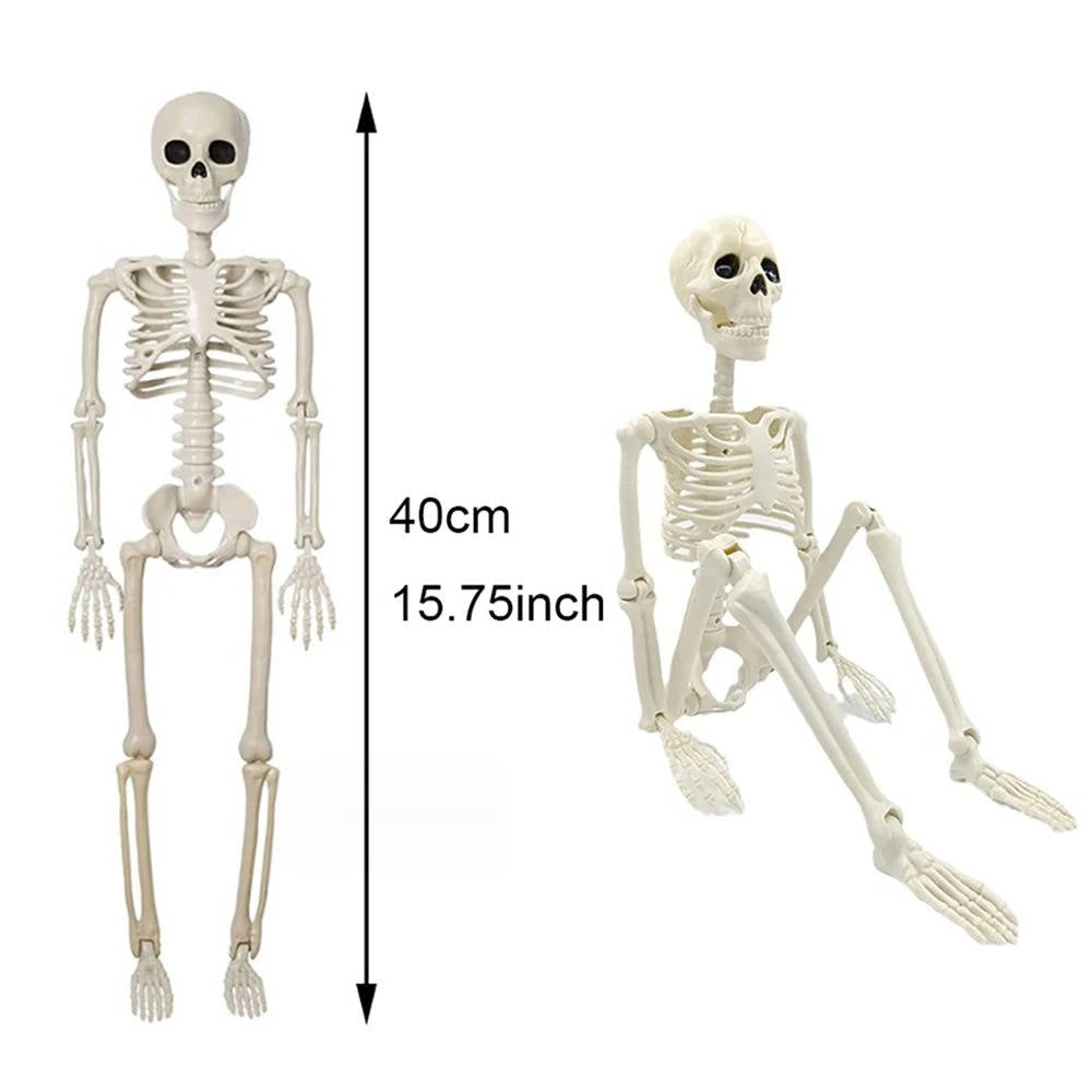 Human Skeleton Halloween Decorations Outdoor