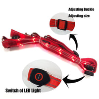 LED Breast Collar Horse