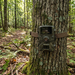 1080P Night Vision Trail Camera