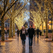 17-Meter String of 100 Led Solar-Powered Fairy Lights