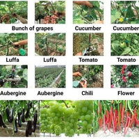 Plant strappers