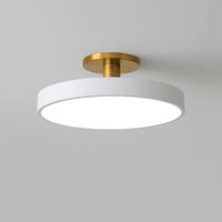 LED Ceiling Light