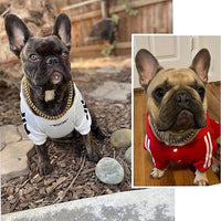 Heavy-Duty Dog Collar