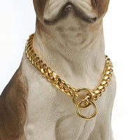Heavy-Duty Dog Collar