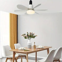 Ceiling-mounted fan