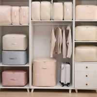 Compression Organizer Bag