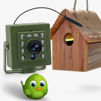 HD WiFi Bird Nest Camera