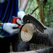 Compact Cordless Chainsaw