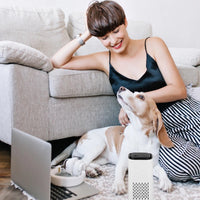 Pet Air Purifier