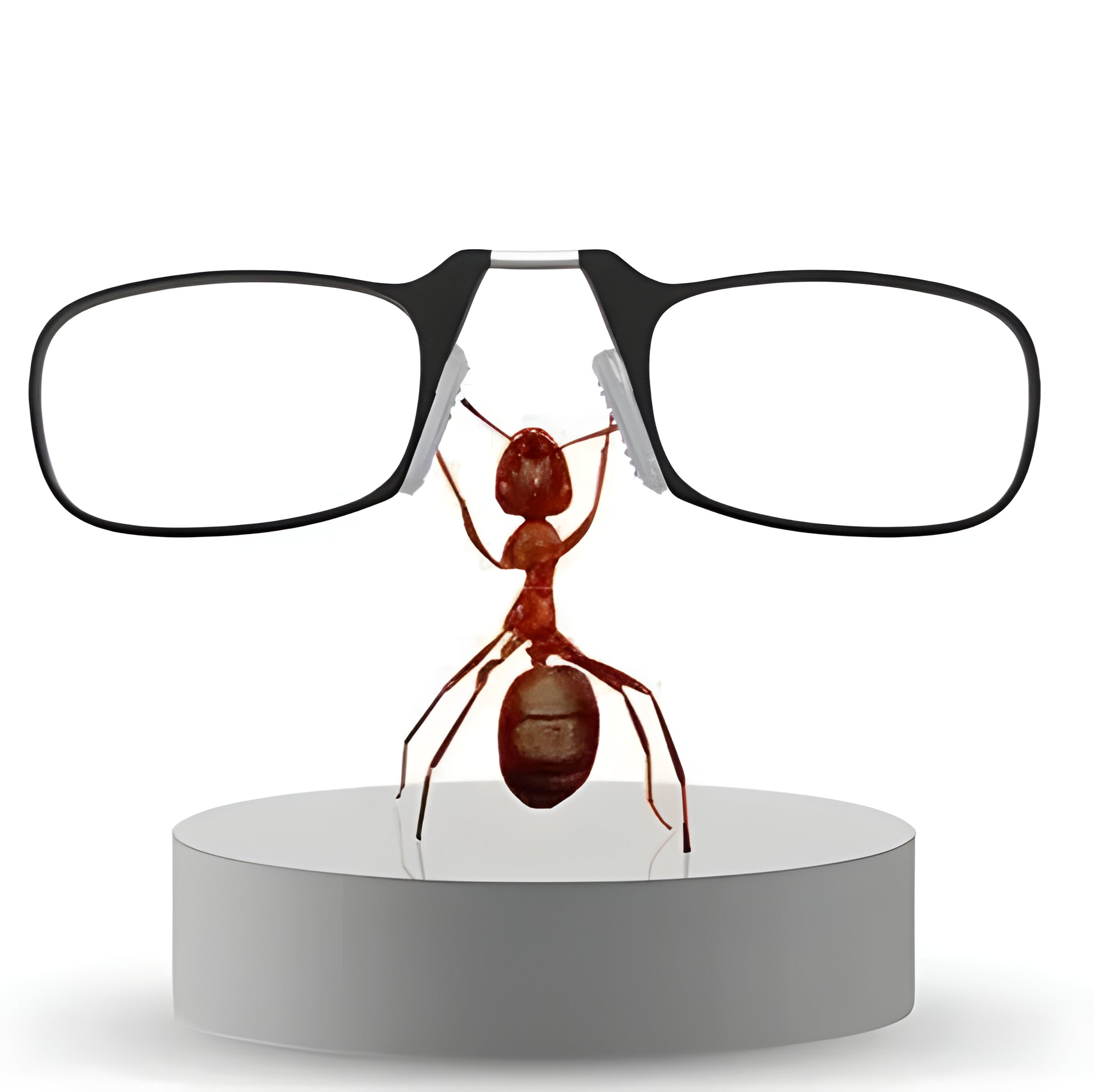 Foldable & Functional Glasses