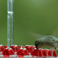 Hummingbird Feeder With Built-In Ant Moat