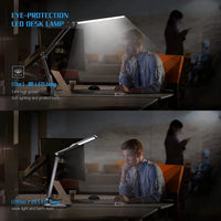 LED Desk Lamp with Clamp