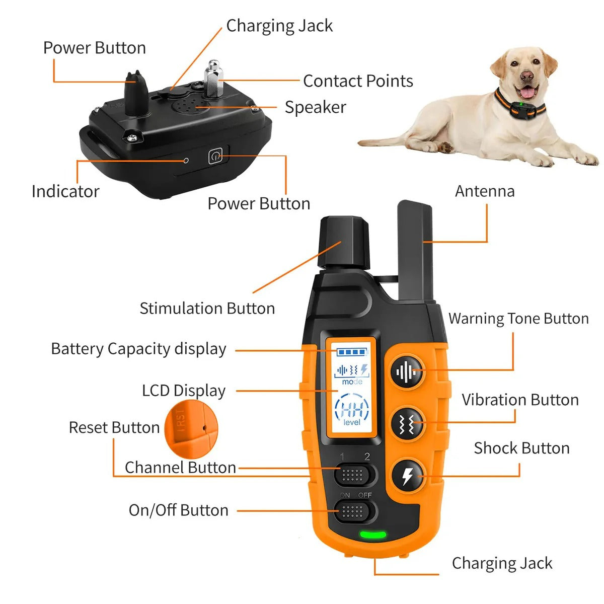 Remote Dog Training E-Collar
