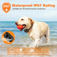 Remote Dog Training E-Collar