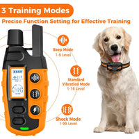Remote Dog Training E-Collar