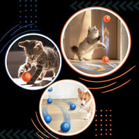 Interactive Obstacle-Avoiding Dog Ball