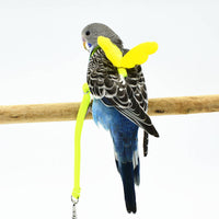 Parrot Bird Harness