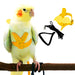 Parrot Bird Harness