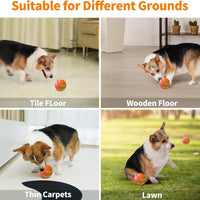 Interactive Dog Ball Toy