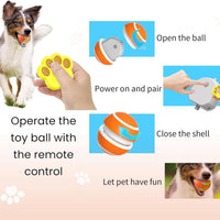 Interactive Dog Ball Toy