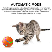 Interactive Dog Ball Toy