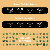 Smart Plant Pot Ivy - Innovative Plant Care