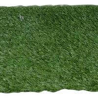 Indoor Grass