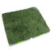 Indoor Grass