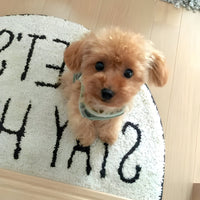 Realistic Teddy Dog Lucky | Plush Puppy