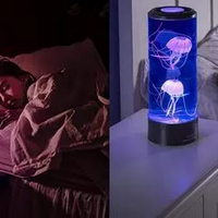Jellyfish LED Lamp & Aquarium