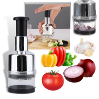 Stainless Steel Garlic Chopper