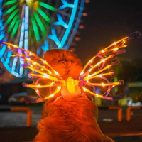 Electric Colorful Kids / Adults LED Fairy Wings Costume