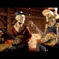Funny Animated Dueling Banjo Skeletons