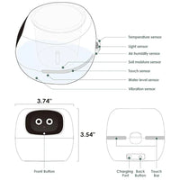 Smart Plant Pot Ivy - Innovative Plant Care