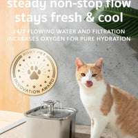 Stainless Steel Cat Water Fountain